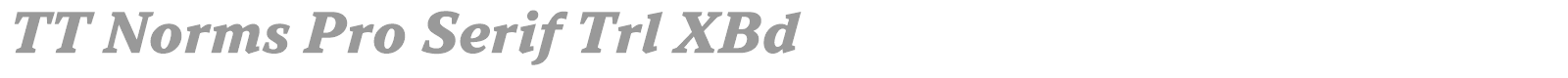 TT Norms Pro Serif font preview